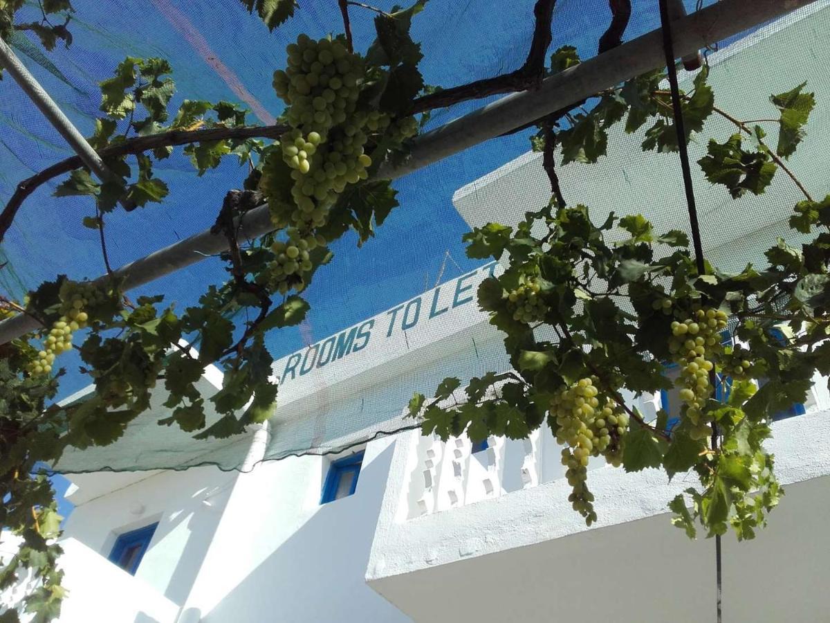 Nikos Apartments Lefkos  ภายนอก รูปภาพ