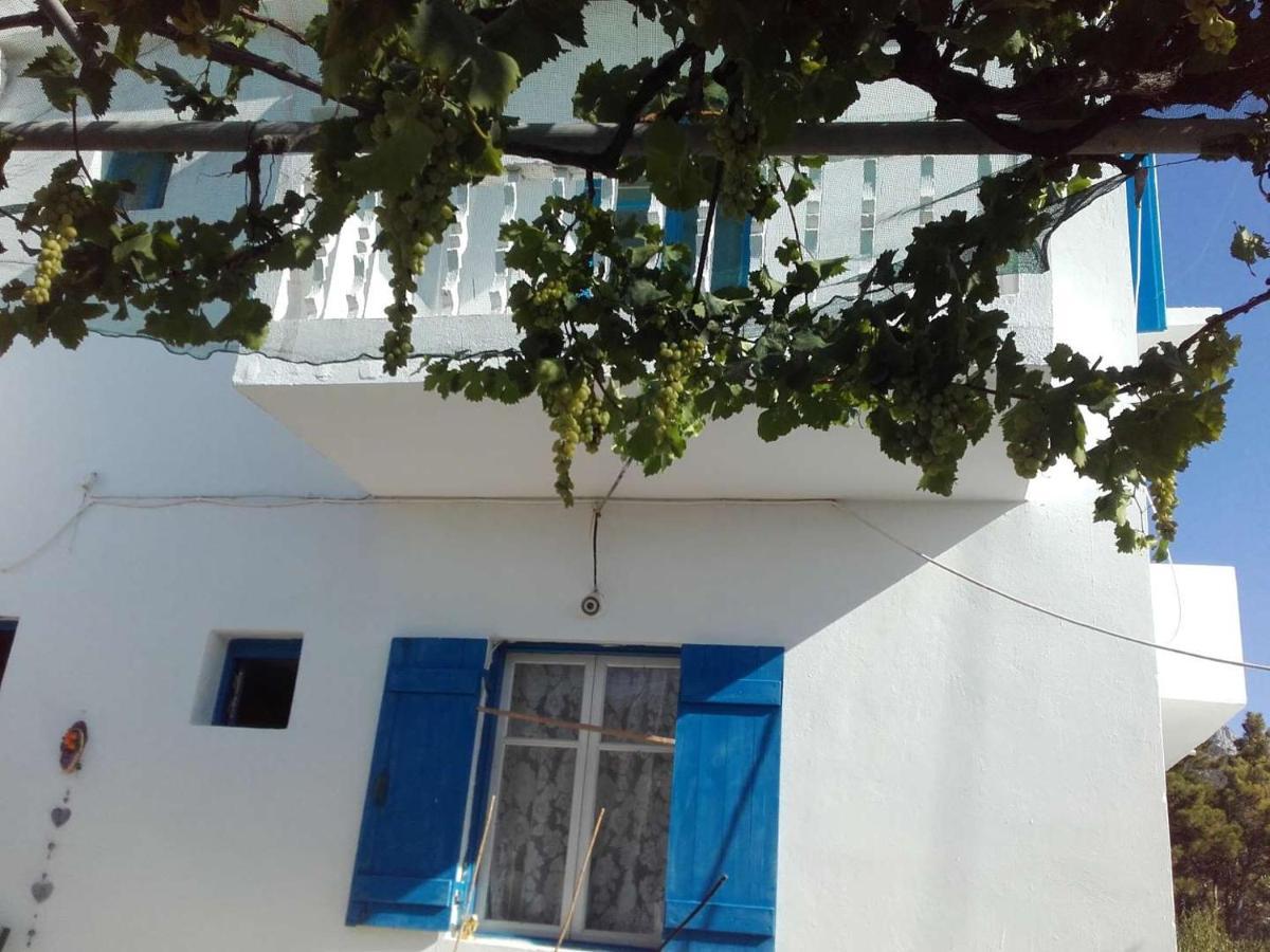 Nikos Apartments Lefkos  ภายนอก รูปภาพ